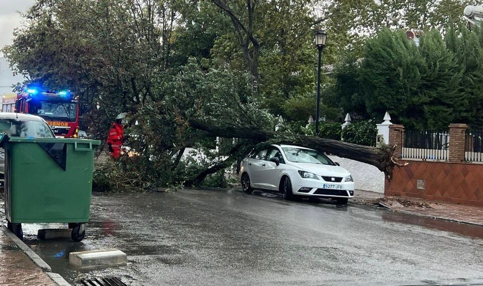 Calle Córdoba de Ronda tras el temporal