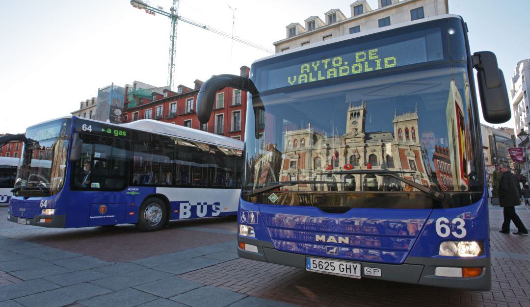 El proceso de reforma del Reglamento de AUVASA recogerá aportaciones ciudadanas