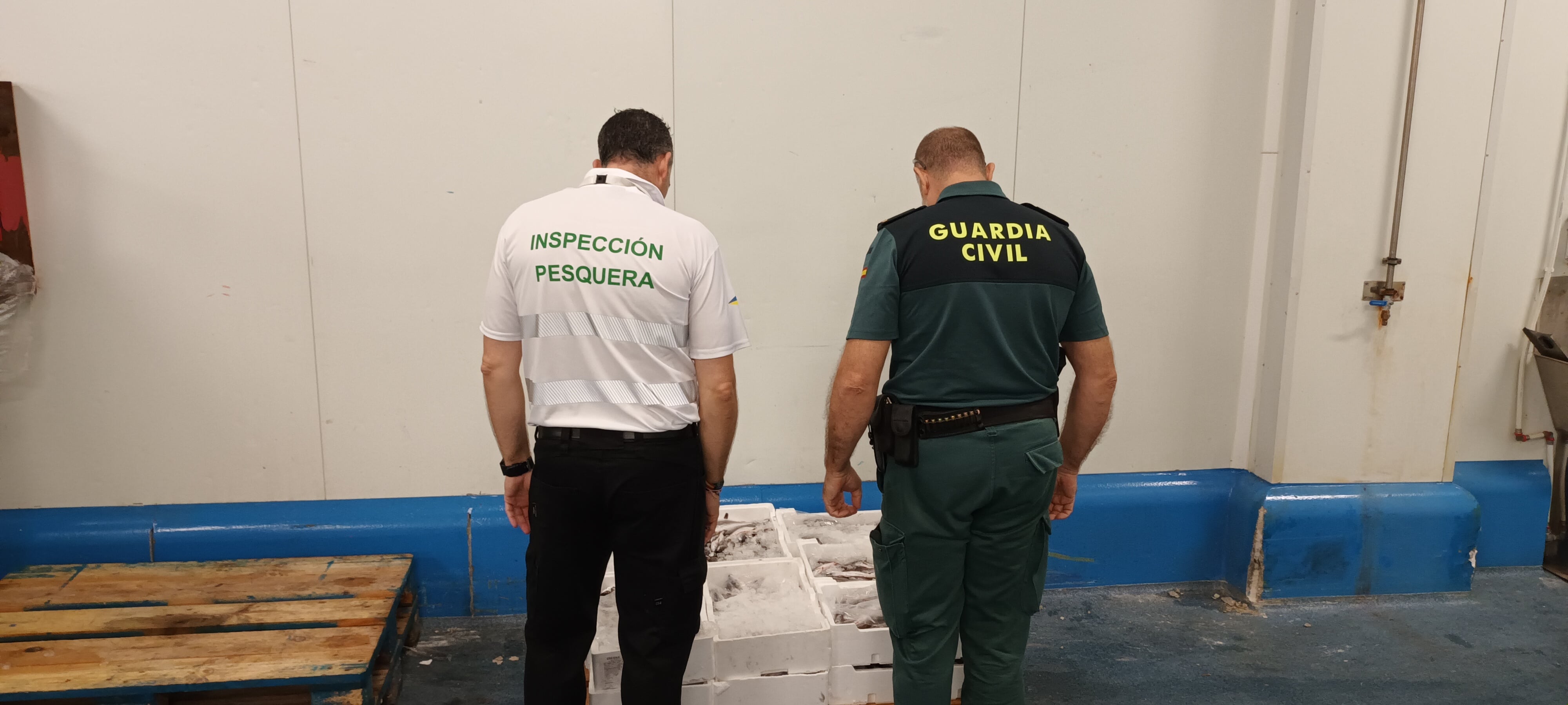 Agentes de inspección pesquera y de la Guardia Civil observan pescado ilícito en un polígono industrial de Guarromán (Jaén)