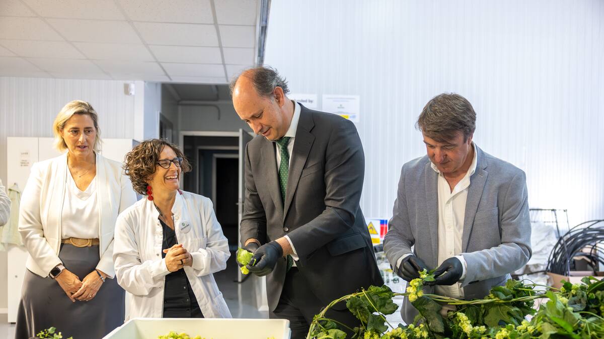 Miguel López Valverde, Consejero de Digitalización, sobre la empresa pionera en cultivar lúpulo en interior con ayuda de Inteligencia Artificial