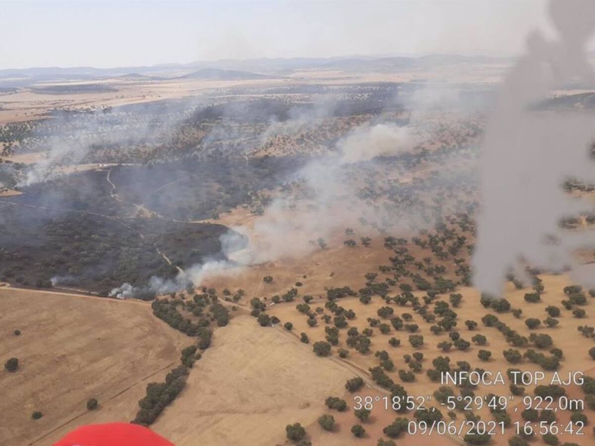Bomberos del INFOCA se despliegan en Fuente Obejuna por un incendio forestal