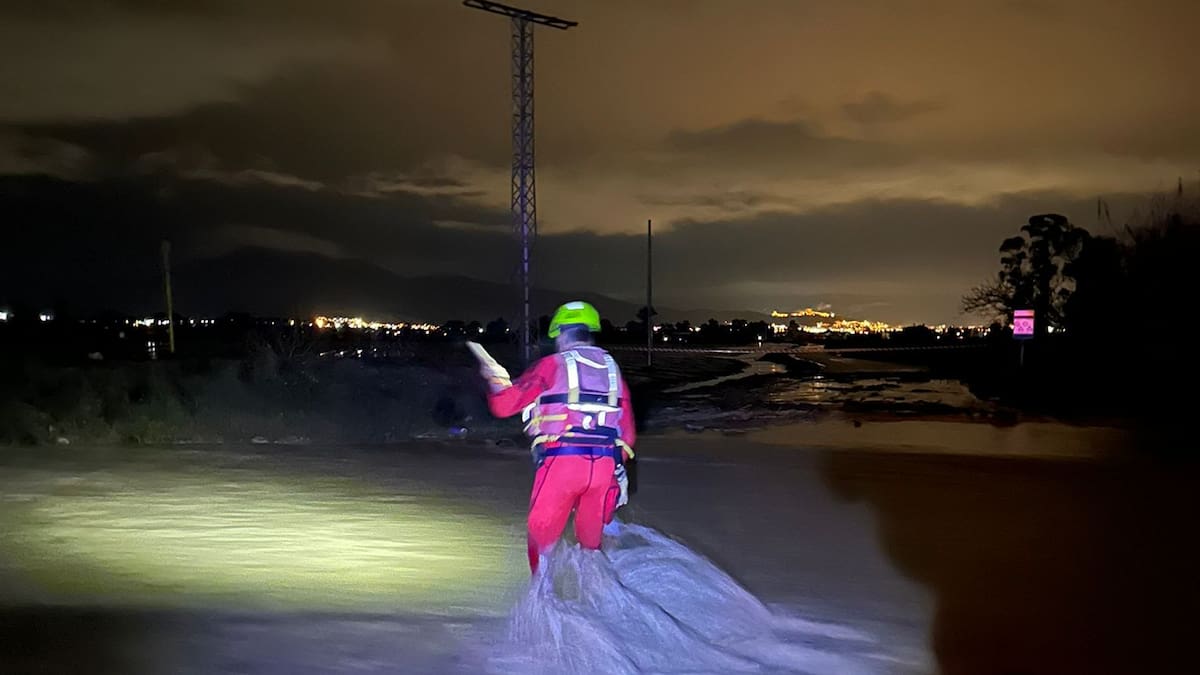 Plácido Pérez-Chuecos, presidente de COAG