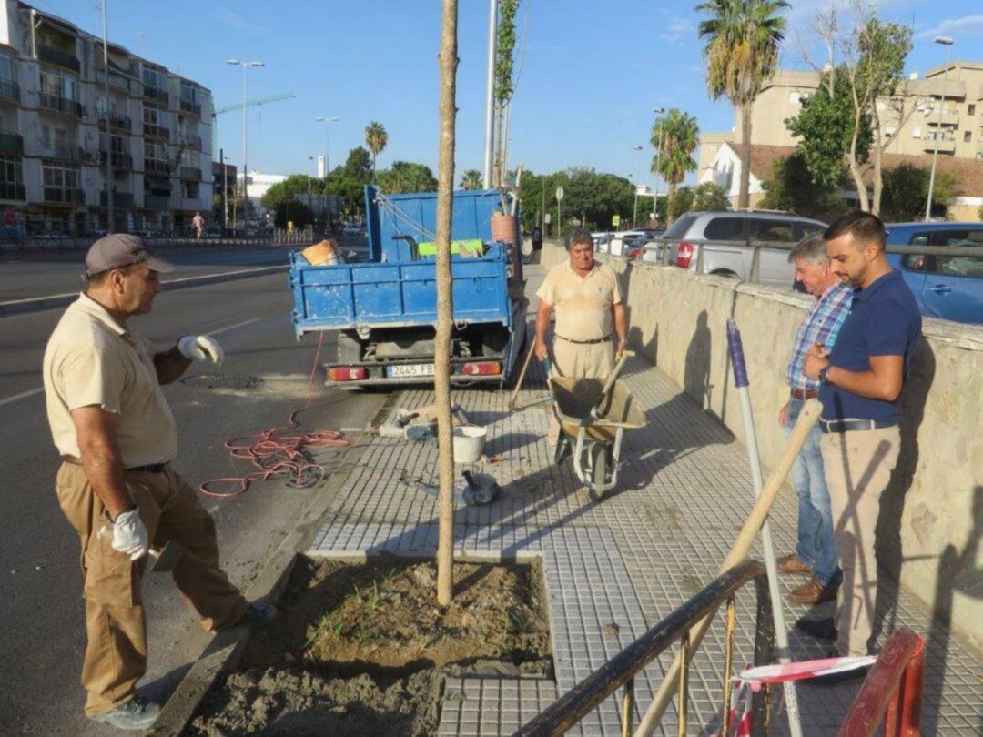 José Antonio Díaz, delegado municipal de Medio Ambiente, visitando la zona de Torresblancas