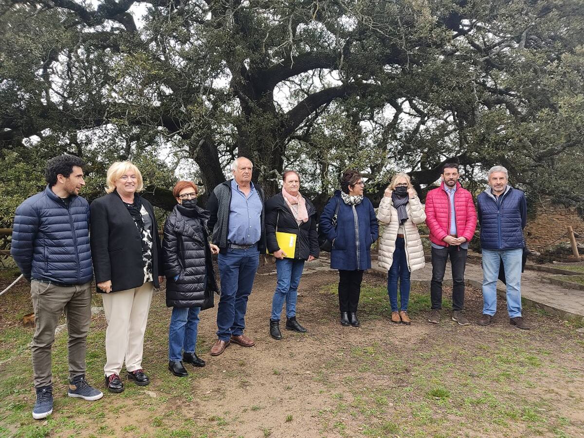 Bárcabo celebra el primer aniversario del reconocimiento a Árbol Europeo del Año