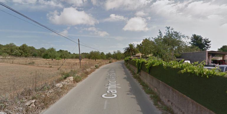 Imagen del Camí Vell de Sant Mateu