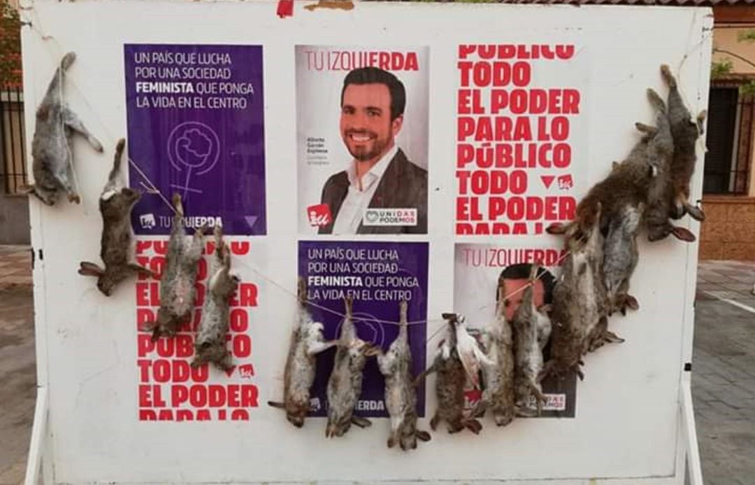 Cuelgan 16 conejos muertos de un panel de propaganda electoral