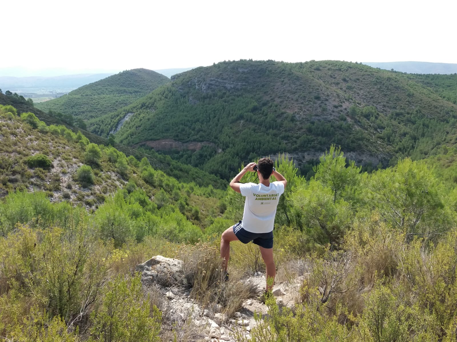 Imatge d'edicions anteriors amb un voluntari en llavors de vigilància