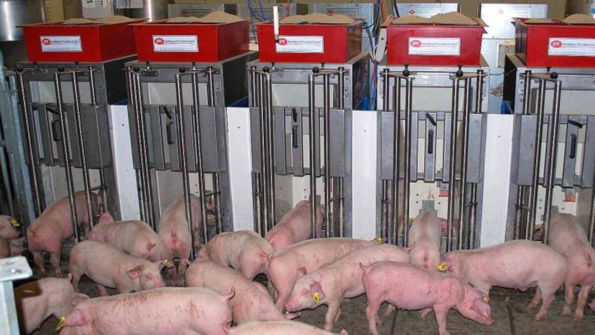 Repercussions pel veto rus