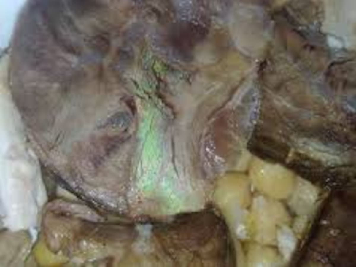 Finaliza la huelga de hambre de Marcelo