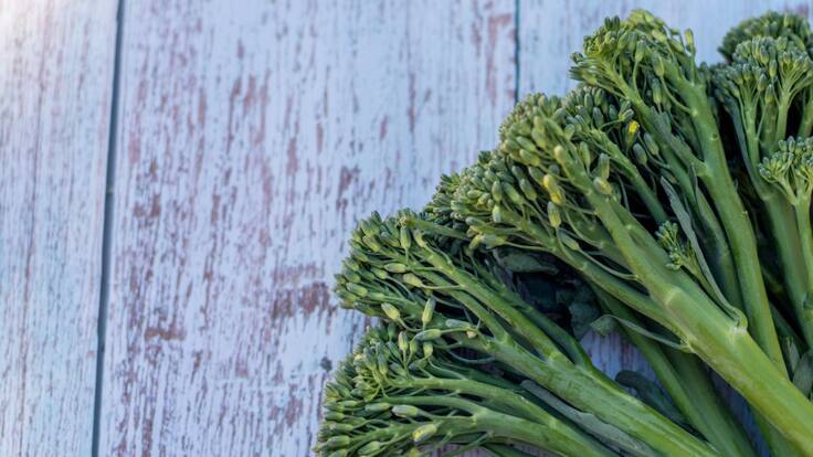 El #FoodieWhatsapp de Mireia Ruíz: hamburguesa de bimi