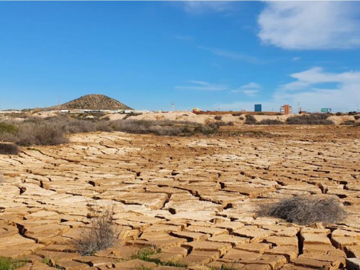 El investigador José Matías Peñas pide que se sellen todas las parcelas industriales con residuos químicos