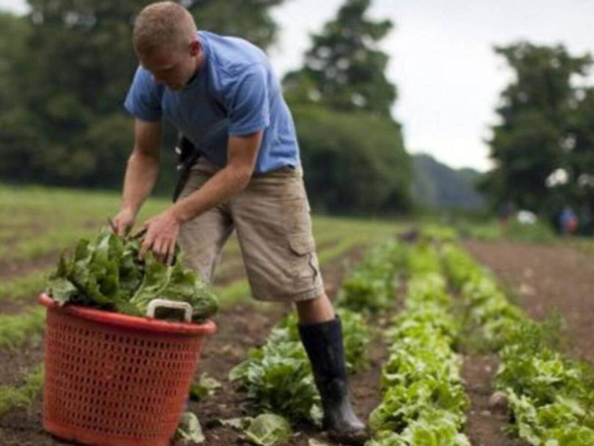 La comarca del Bierzo incorpora 25 jóvenes agricultores profesionales