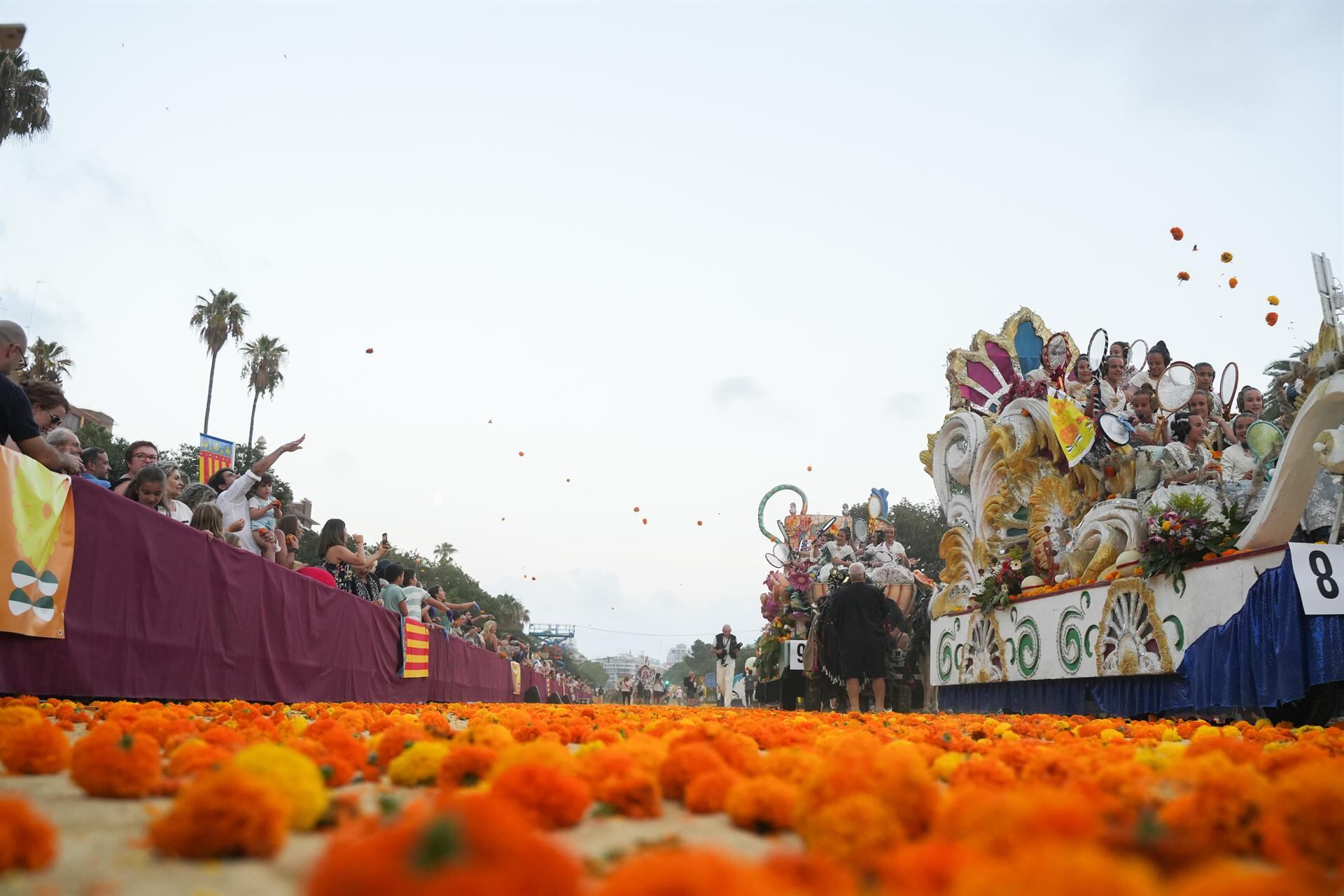 Batalla de las Flores (archivo)