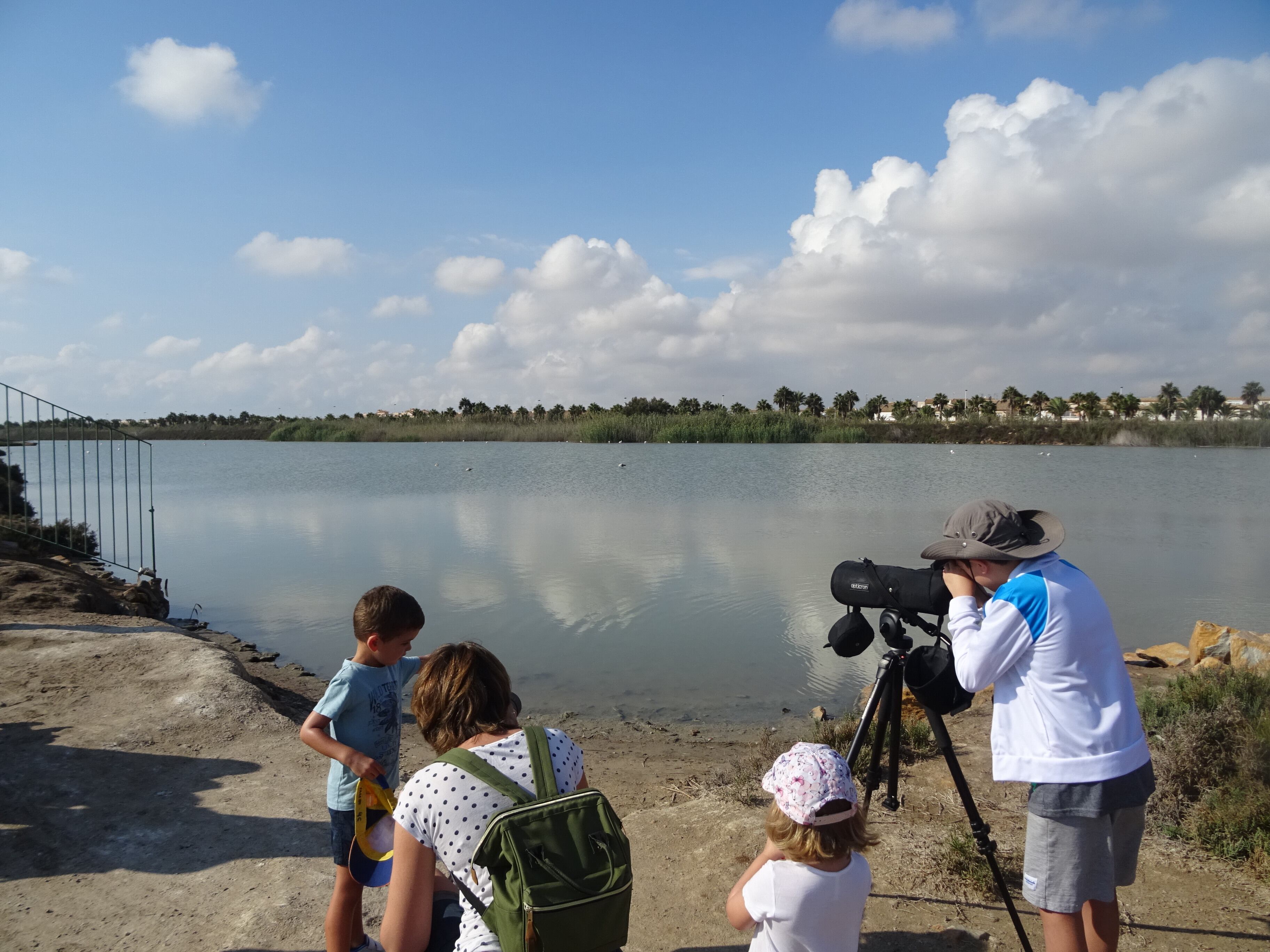 Observación de aves en el parque regional de las Salinas de San Pedro