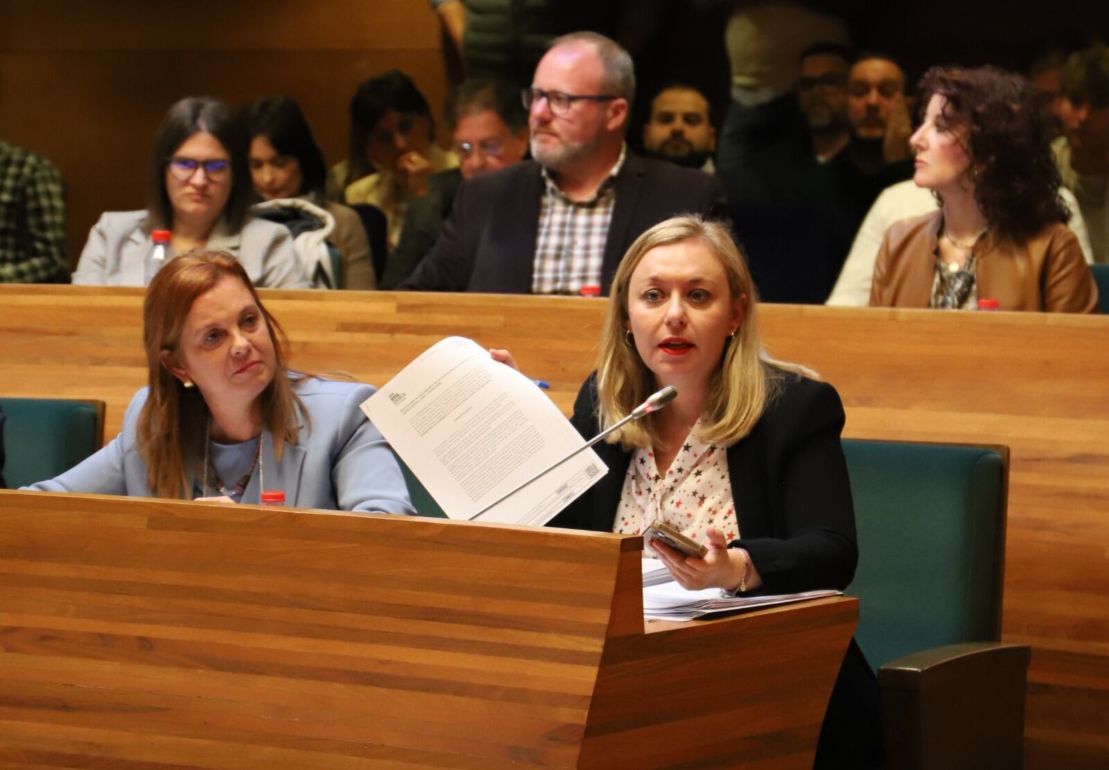 Natàlia Enguix presentant la moció del mes de novembre a la Diputació