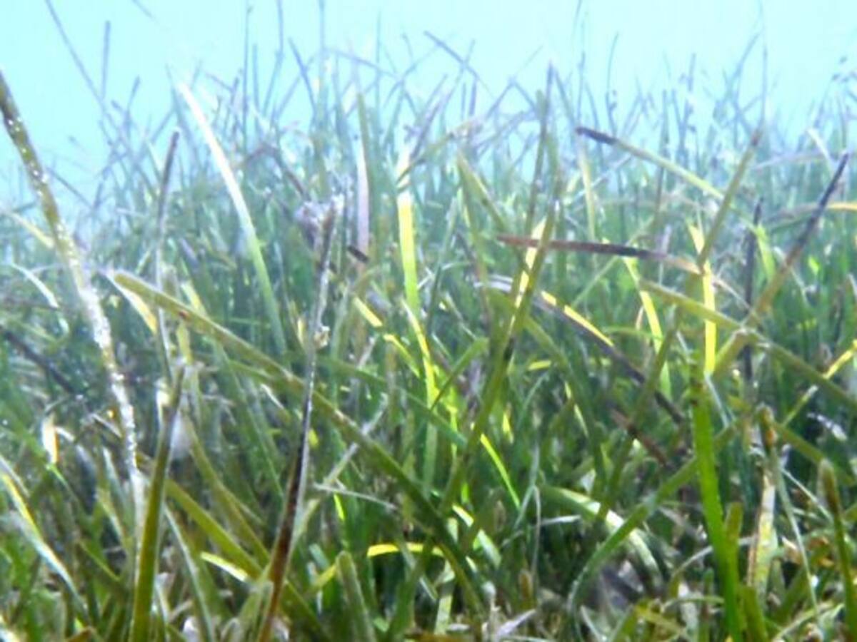 Ángel Monedero: "¿Qué pasaría si se pierden 12.000 hectáreas de Sierra Espuña?"