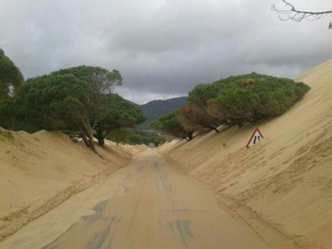 Carretera de Bolonia.