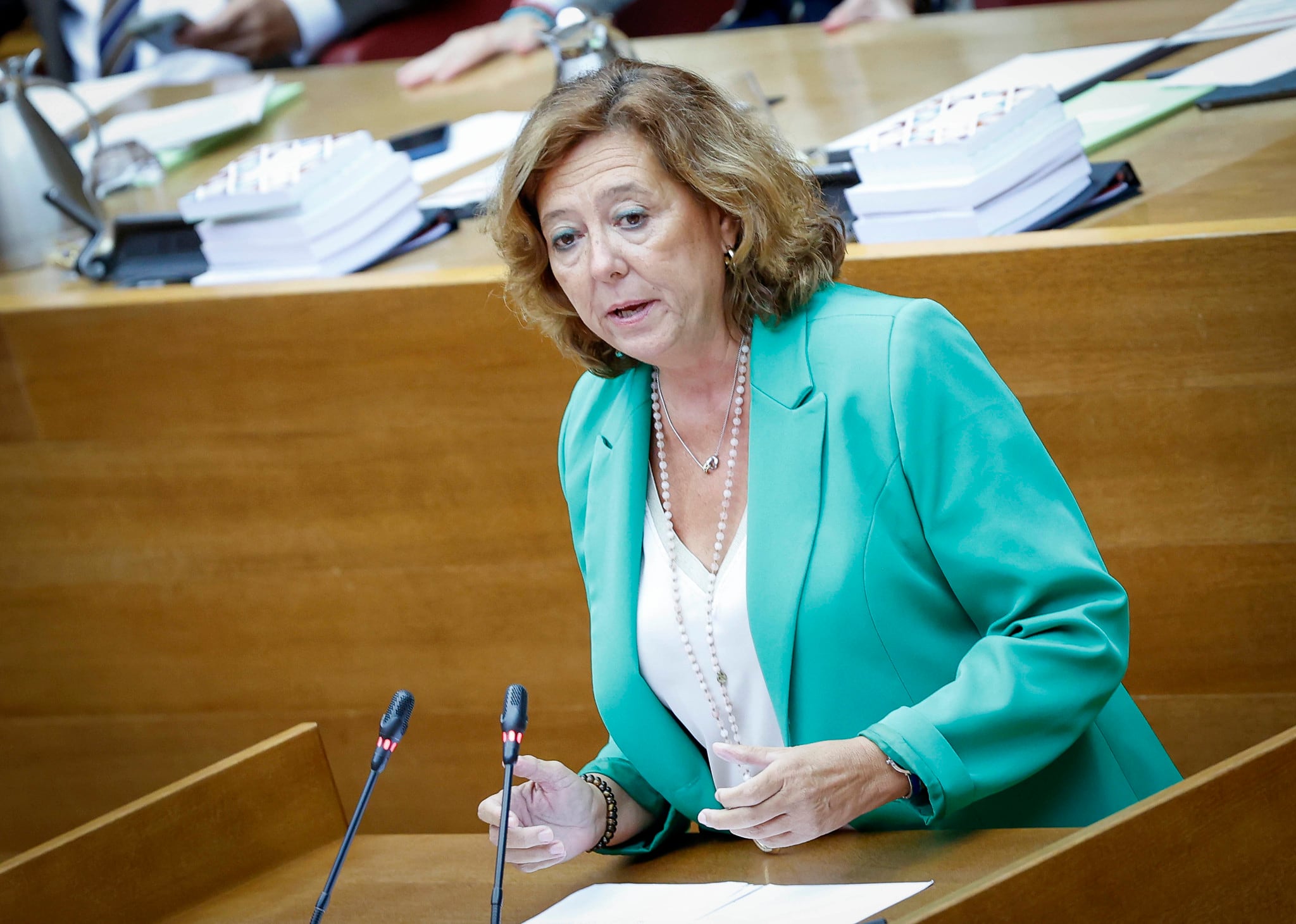 María Gómez, diputada del PPCV, en Les Corts