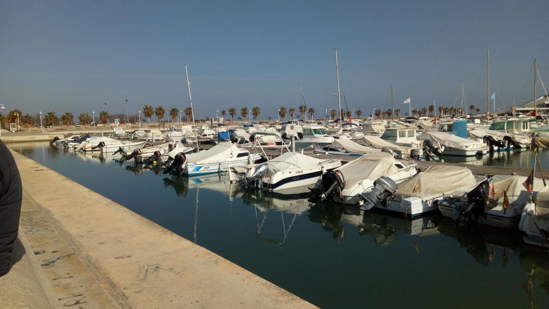 Zona de amarres públicos del puerto de Dénia.