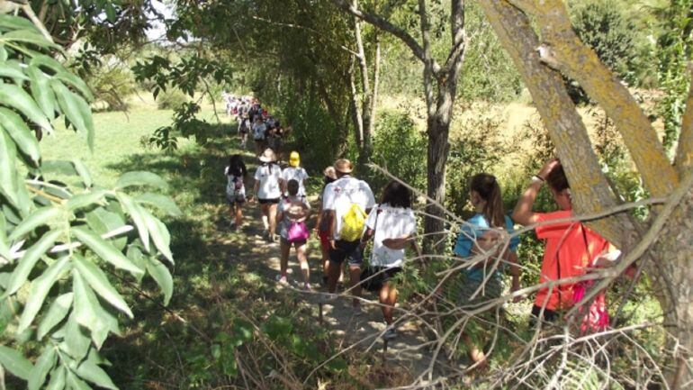 Las actividades en la naturaleza forman parte de la programación de la Semana Sin Fronteras que celebra Cruz Roja Juventud de la Asamblea Local de Aranda