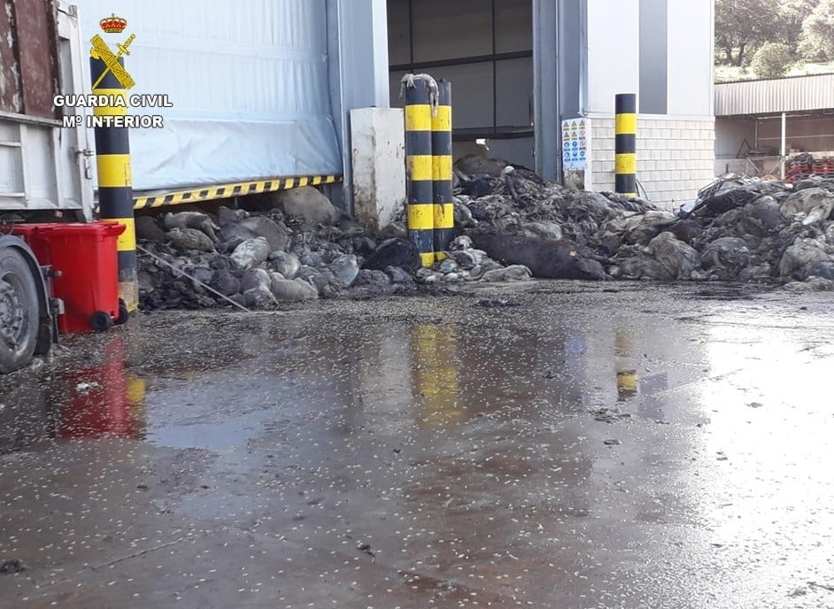 Restos animales apilados en la planta de Puertollano