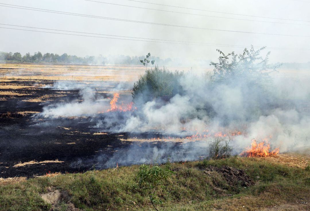 Incendio forestal