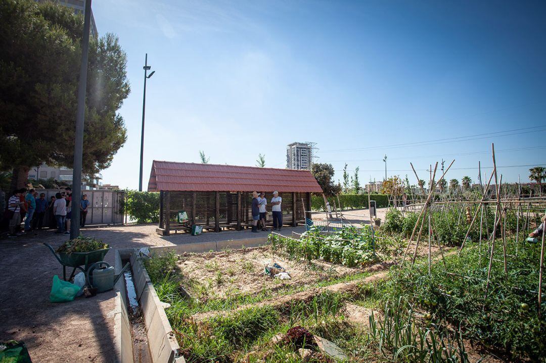 Huerto de Sociópolis en una foto de archivo