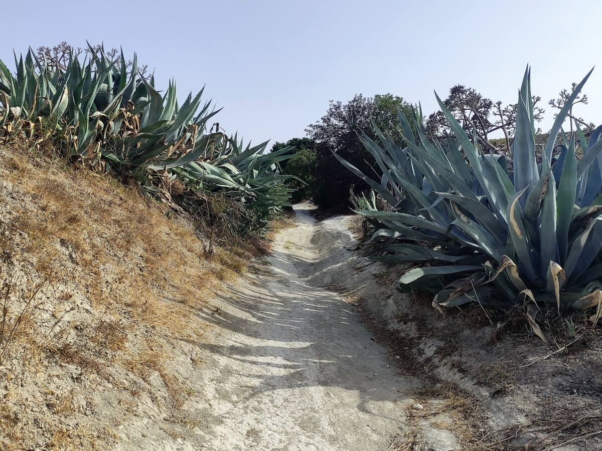 Recorremos la Hijuela de las anaferas con Agustín García Lázaro