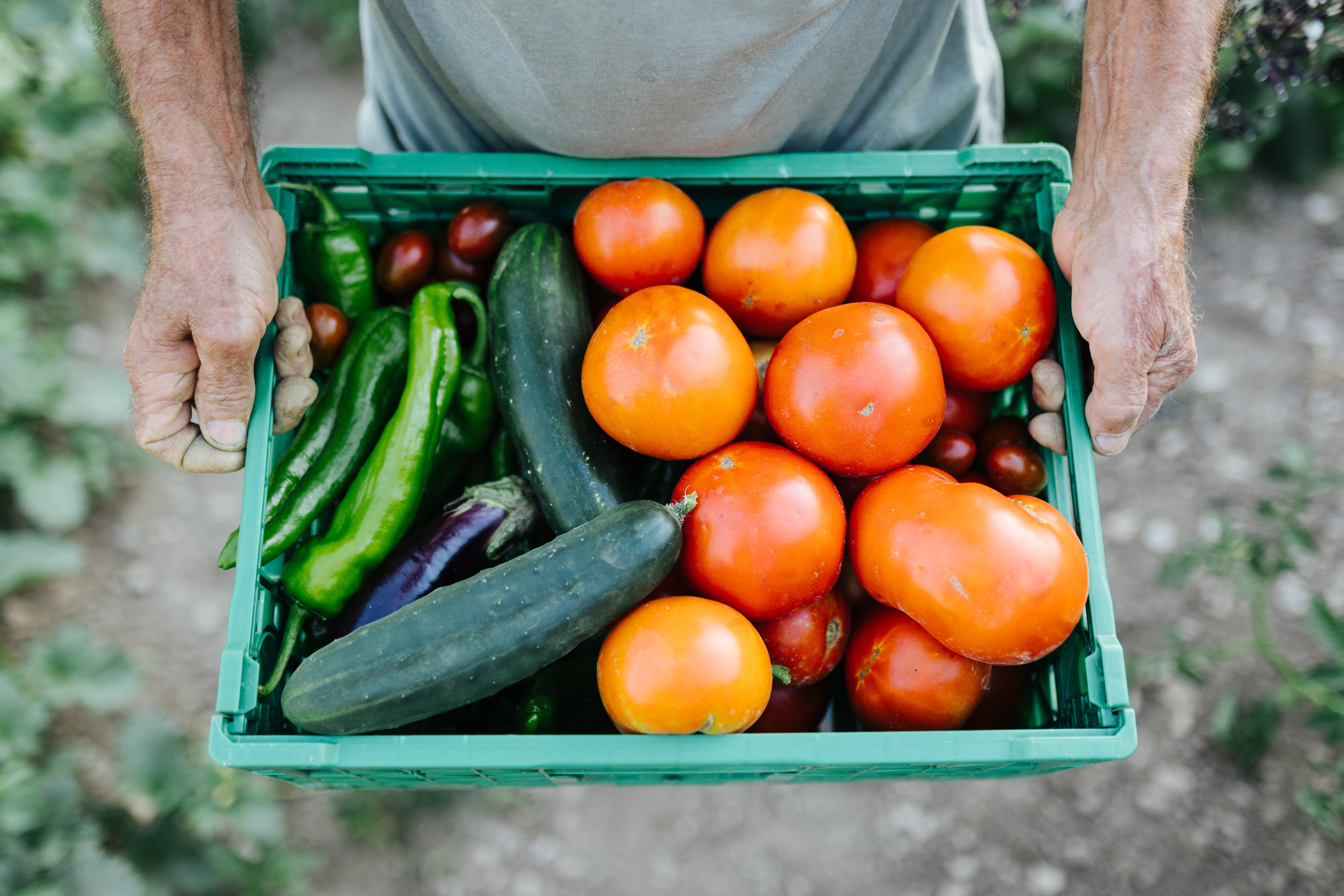 Productos obtenidos mediante agricultura ecológica