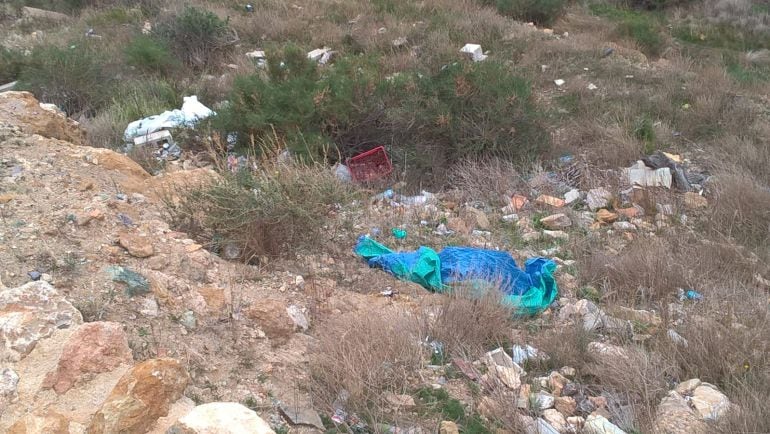 El cerro en el que se ubica el Castillo de Monteagudo necesita una actuación de limpieza urgente