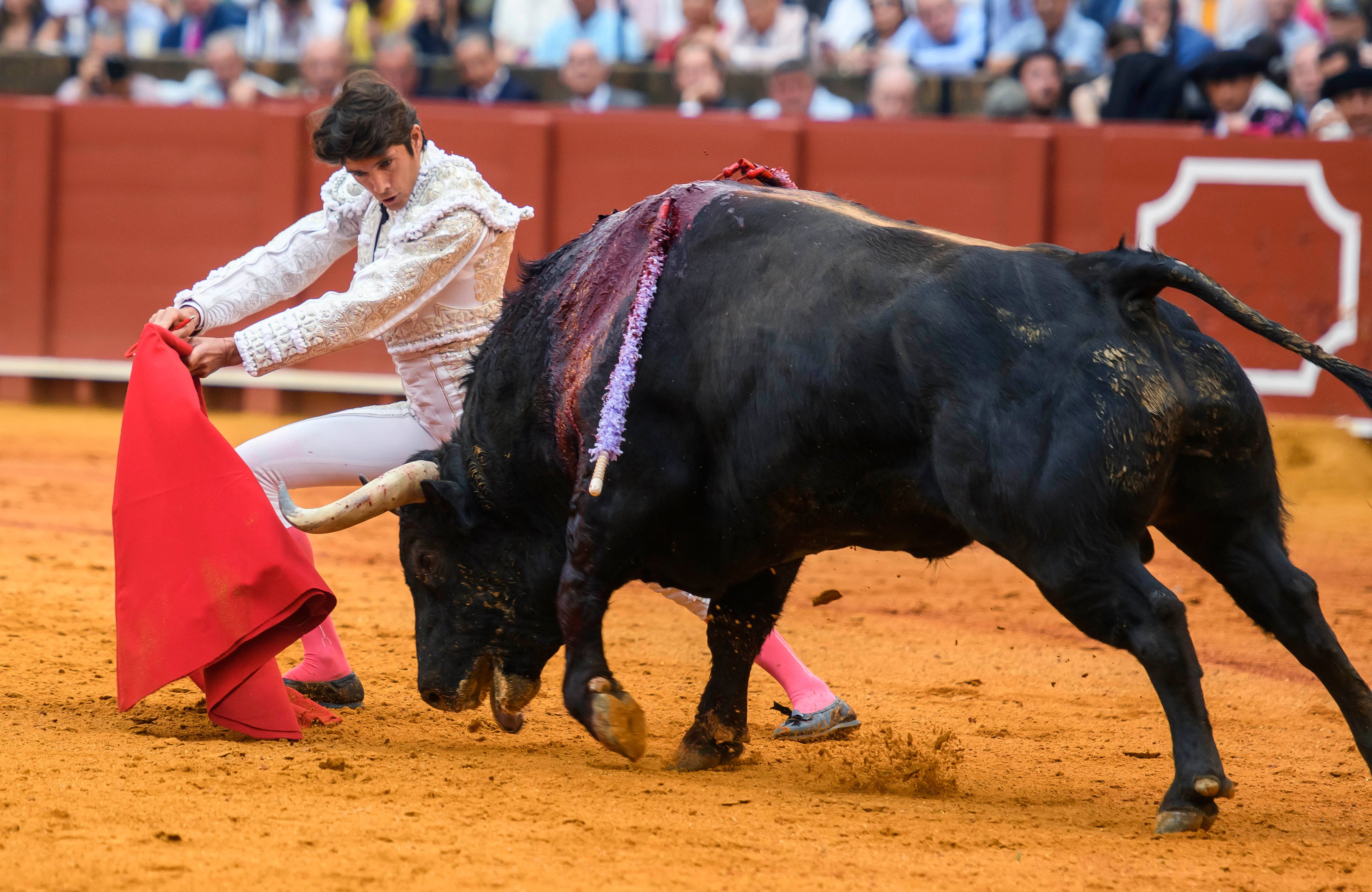 SEVILLA. 28/04/2023. - El Diestro Sebastián Castella da un pase con la muleta a su primer toro, este viernes en la Real Maestranza de Sevilla. EFE/ Raúl Caro.
