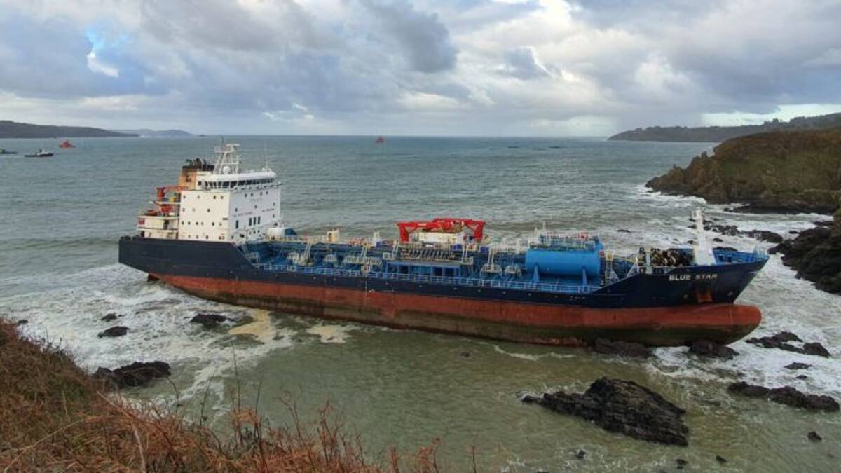 Así fueron las primeras cuatro horas del accidente del Blue Star, por Consuelo Bautista (01/12/2019)