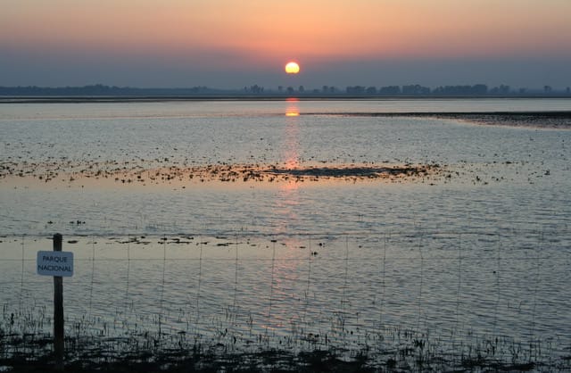 Parque Nacional de Doñana