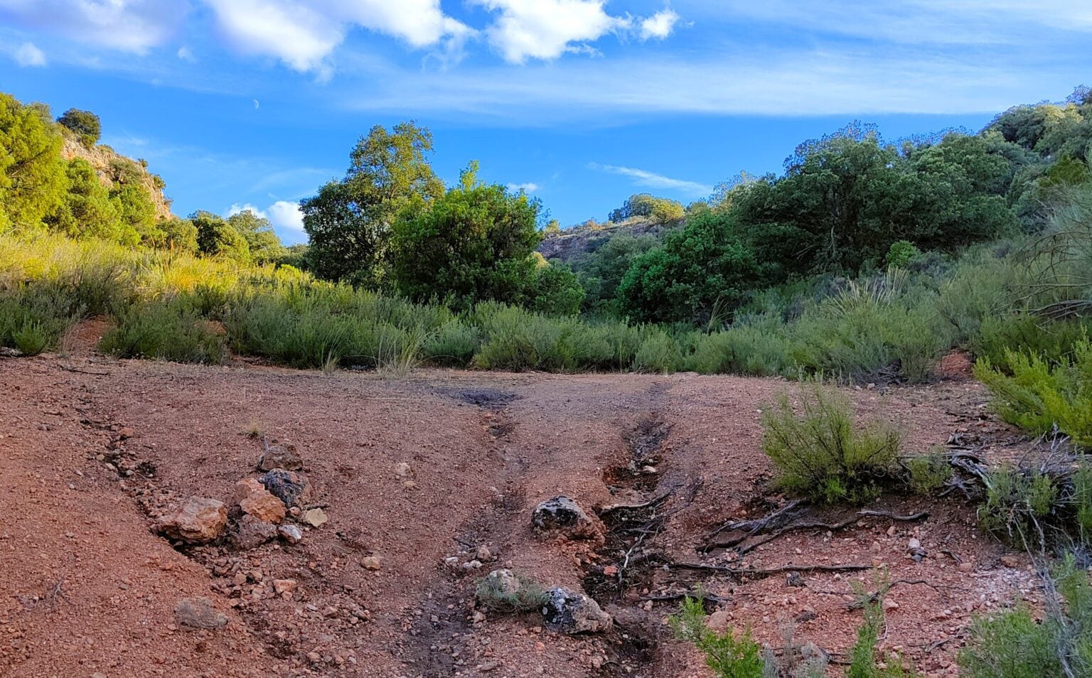 Restos de una antigua carbonera.
