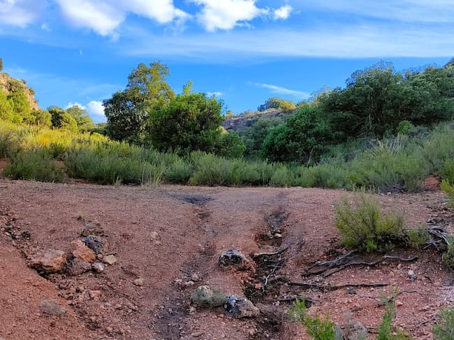 Restos de una antigua carbonera.