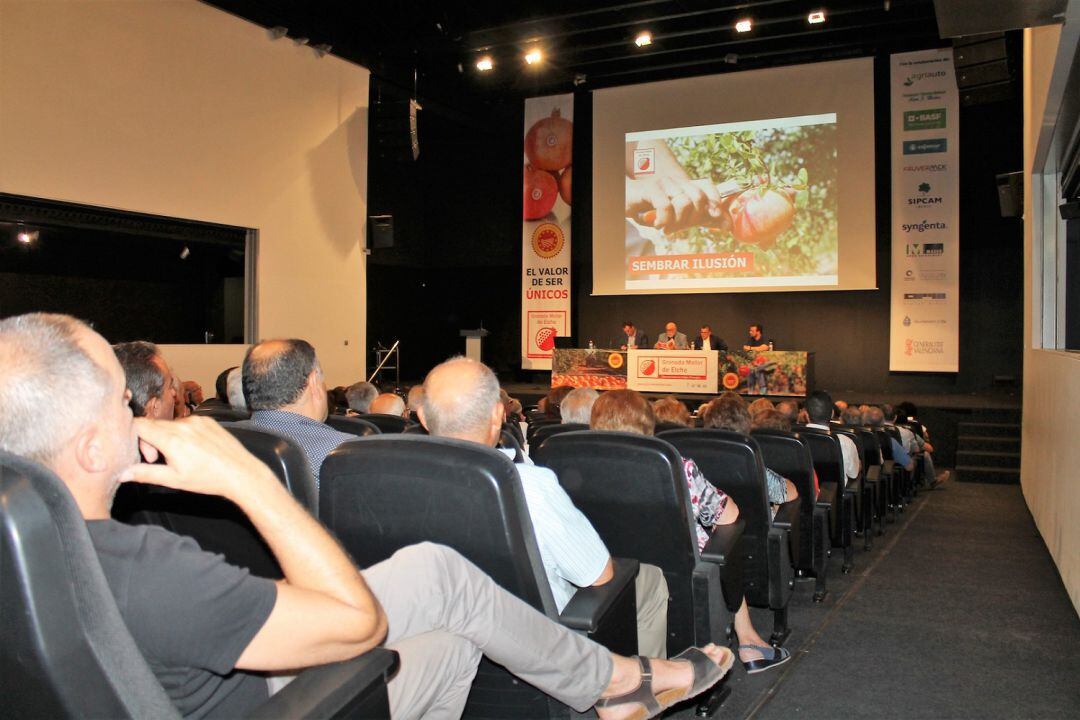 Jornada sobre la denominación de origen de la Granada Mollar