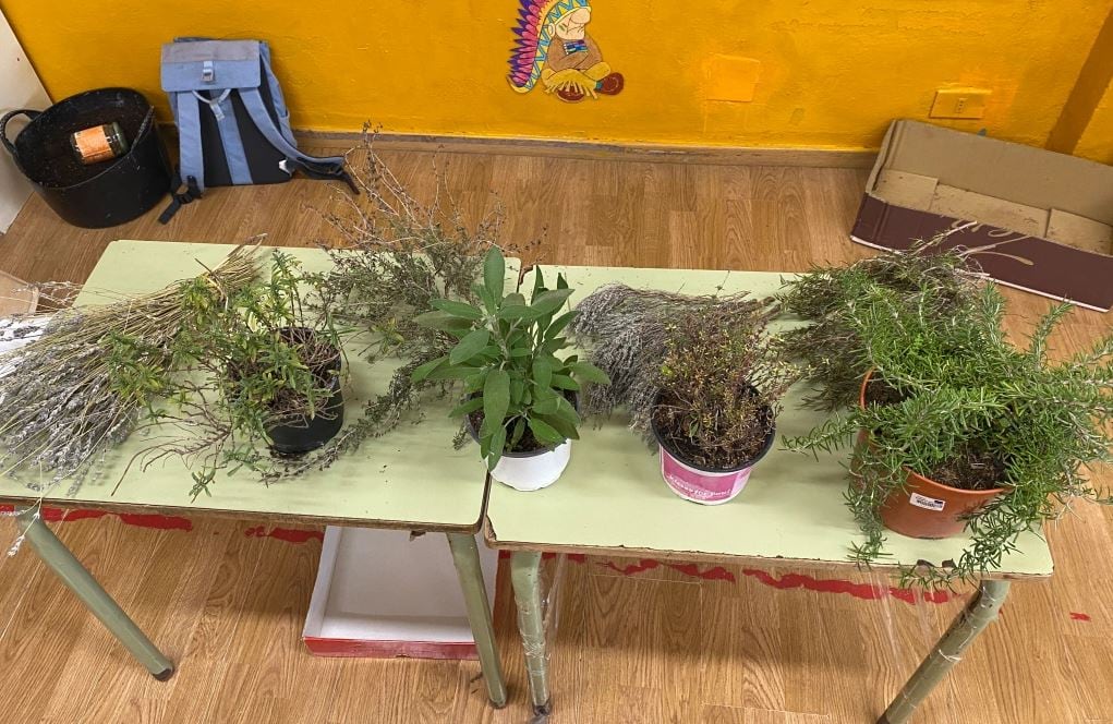 Actividades de educación ambiental en el CEIP Infanta Elena de El Provencio (Cuenca).