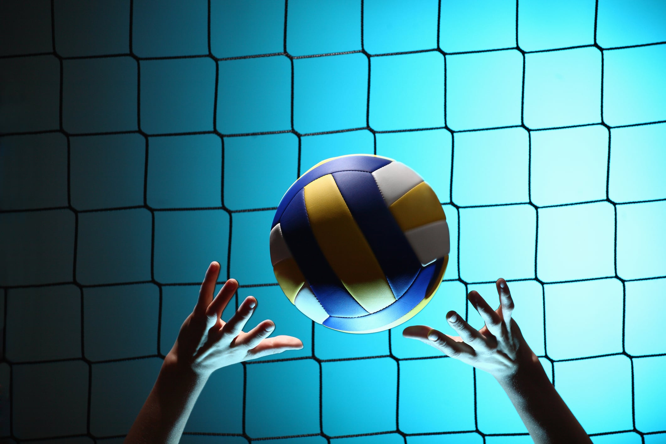 Voleibol