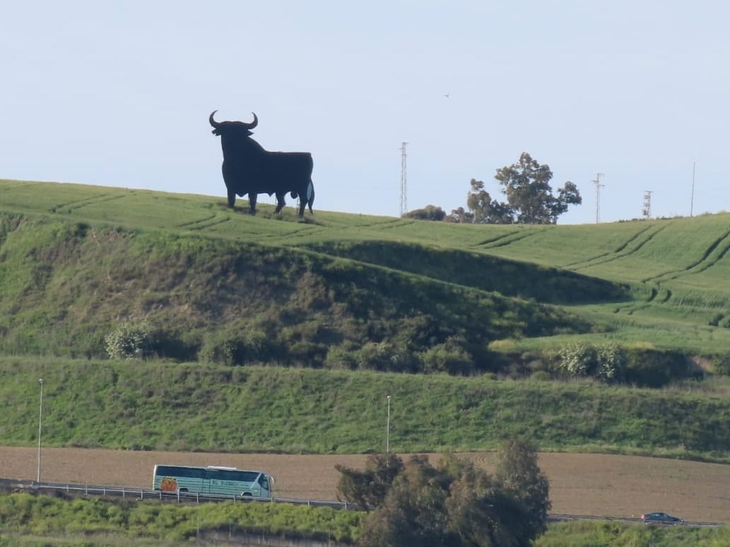 Toro de Osborne en la A-4 en Córdoba