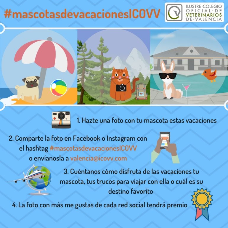 Campaña contra el abandono de las mascotas en verano