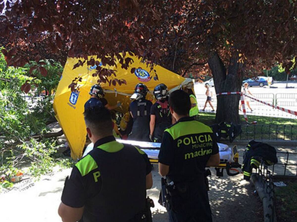 Carmena hará lo posible para evitar más accidentes mortales por caídas de ramas