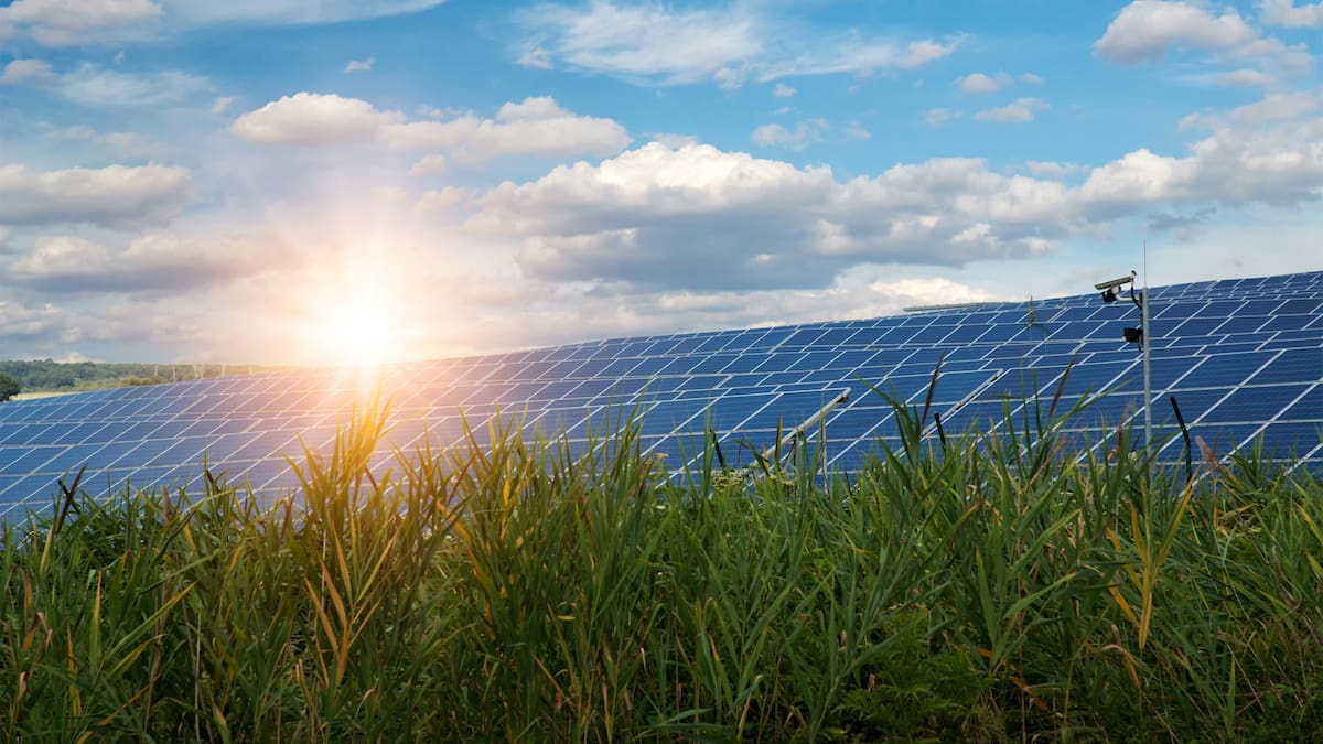 Vecinos de Torremocha de Jarama recogen firmas para evitar la construcción de un “polígono fotovoltaico”