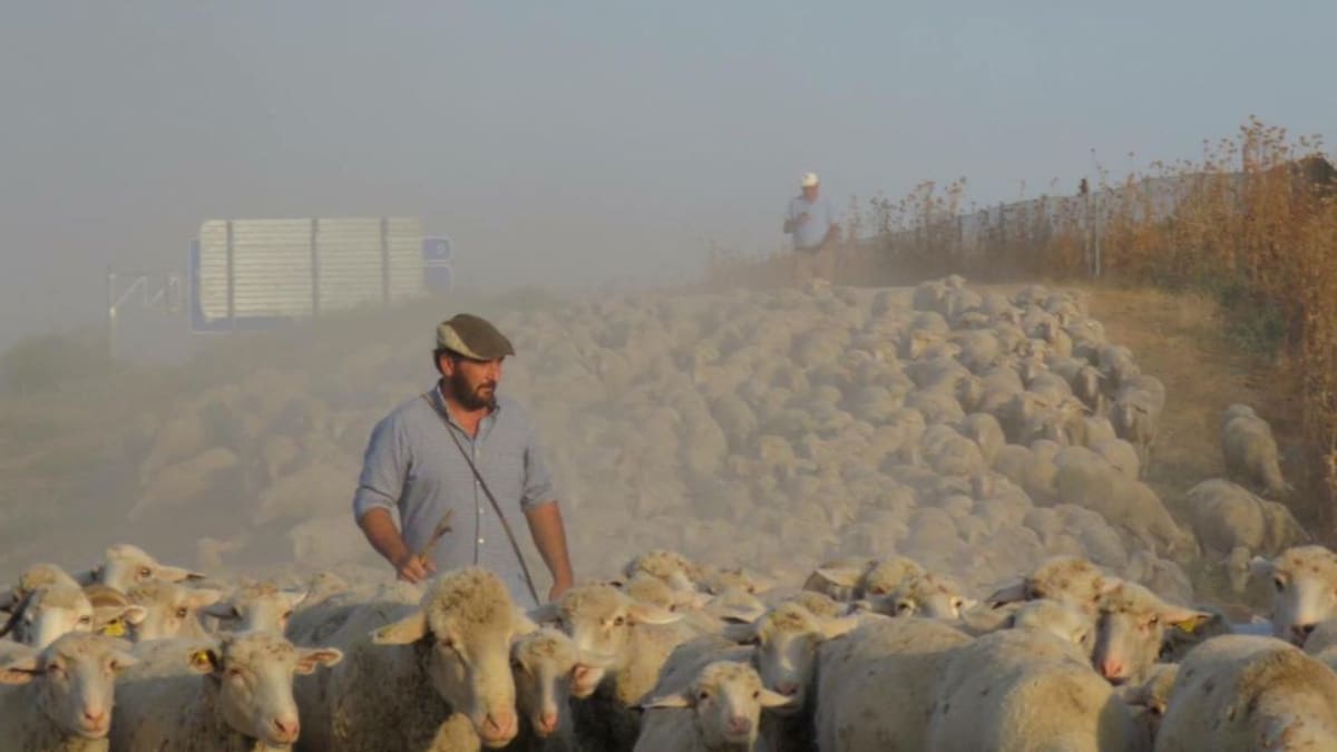 Felipe Molina: "Se están prometiendo muchas ayudas pero de momento no hay ninguna"