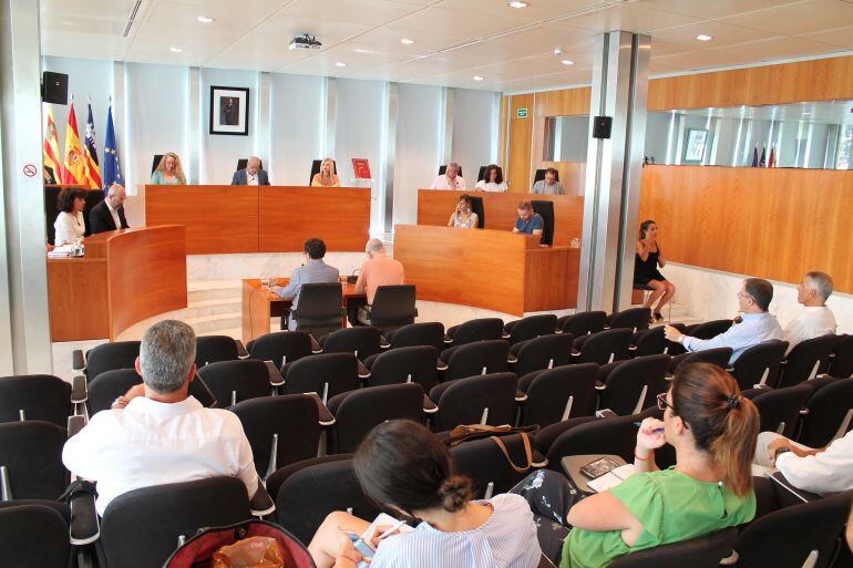 Un momento durante el pleno