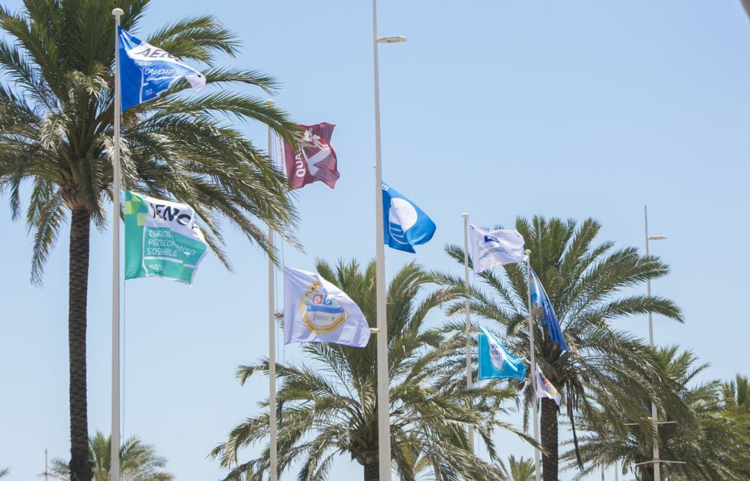 Nueva banderas para la playa de Gandia 