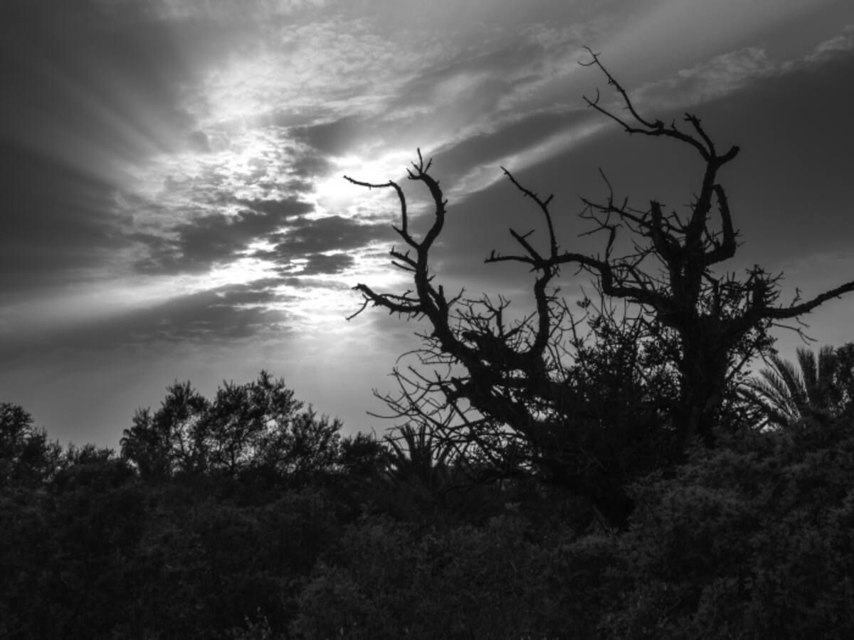 Las Clarisas acoge una selección de imágenes del concurso fotográfico Photoclot
