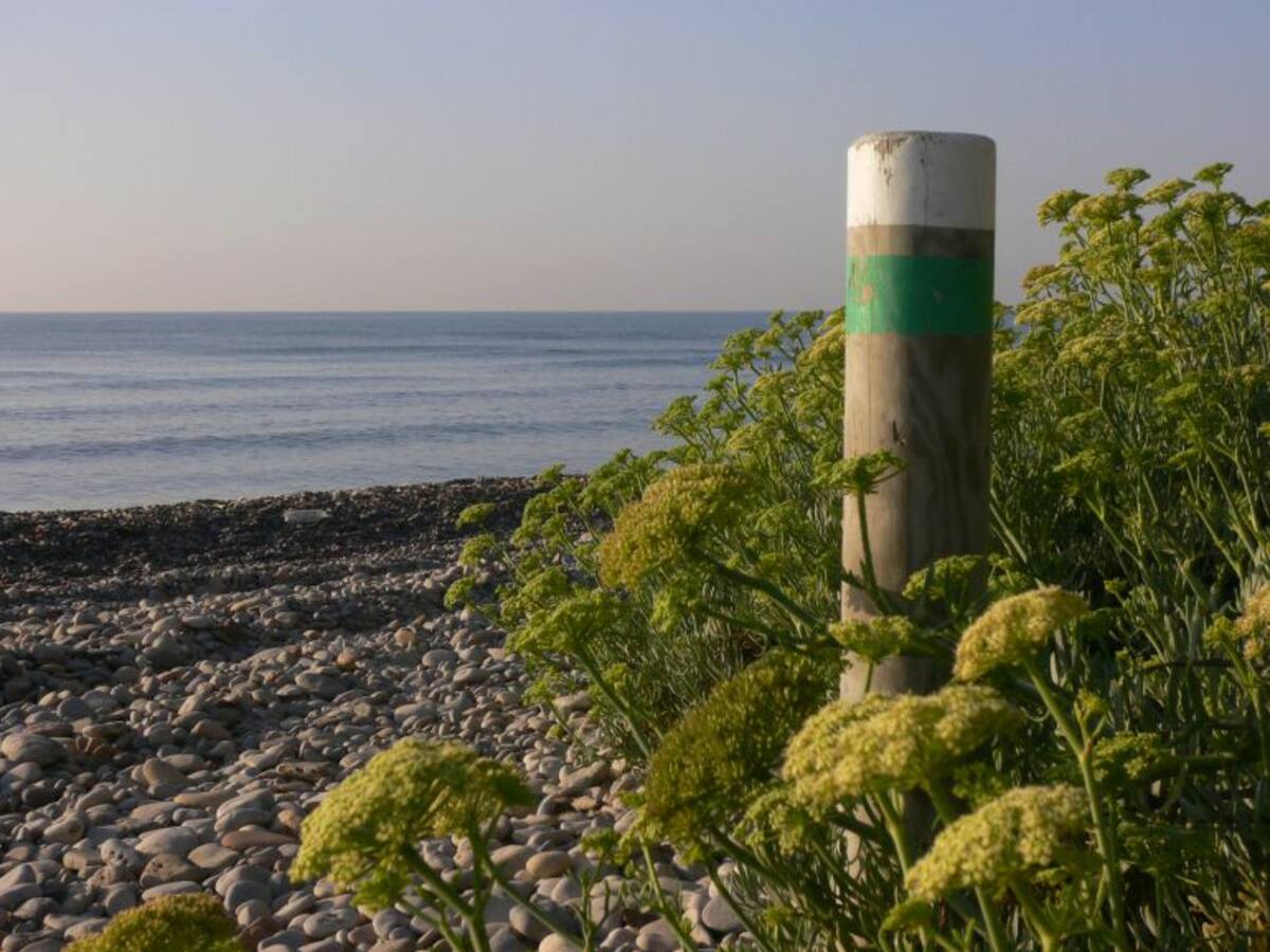 El ayuntamiento pide a la diputación que promocione su patrimonio natural