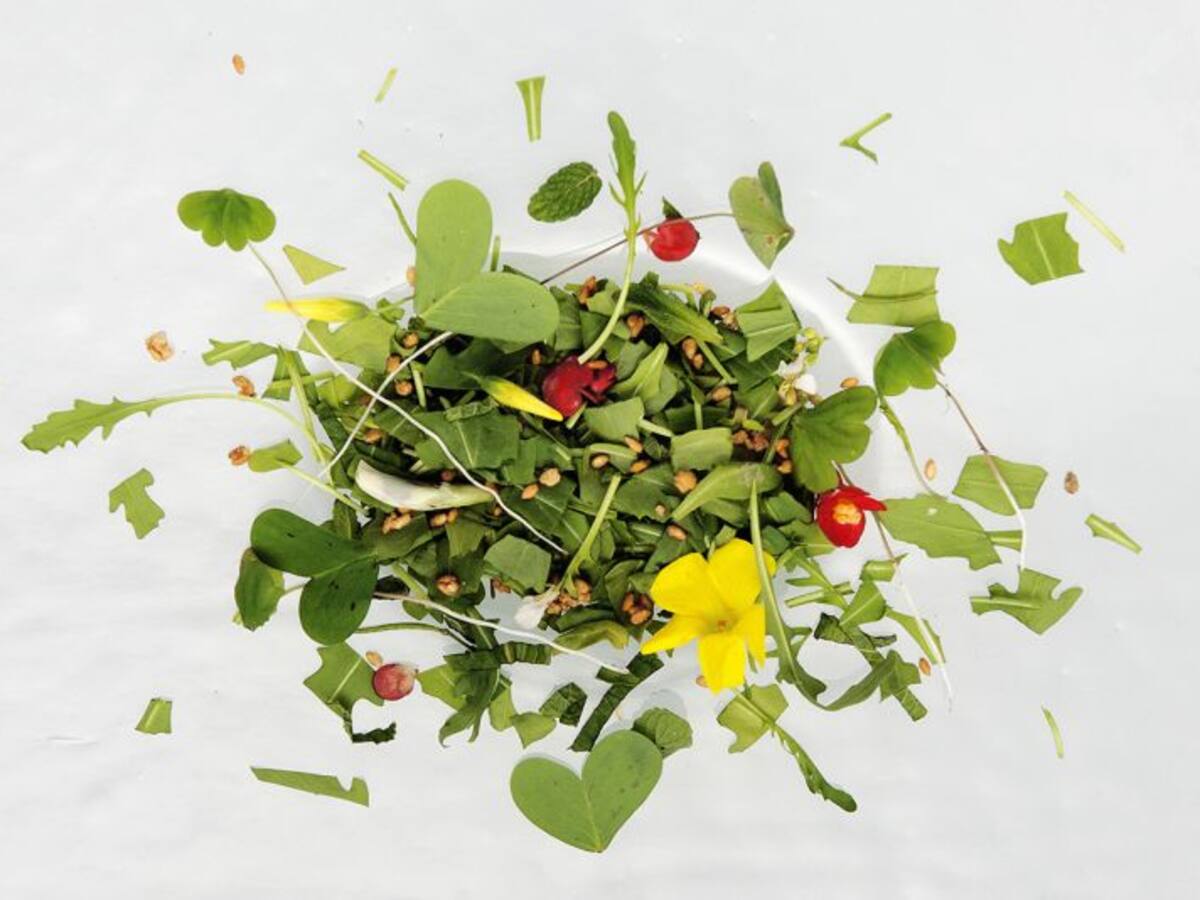 Diseño (valenciano) al plato