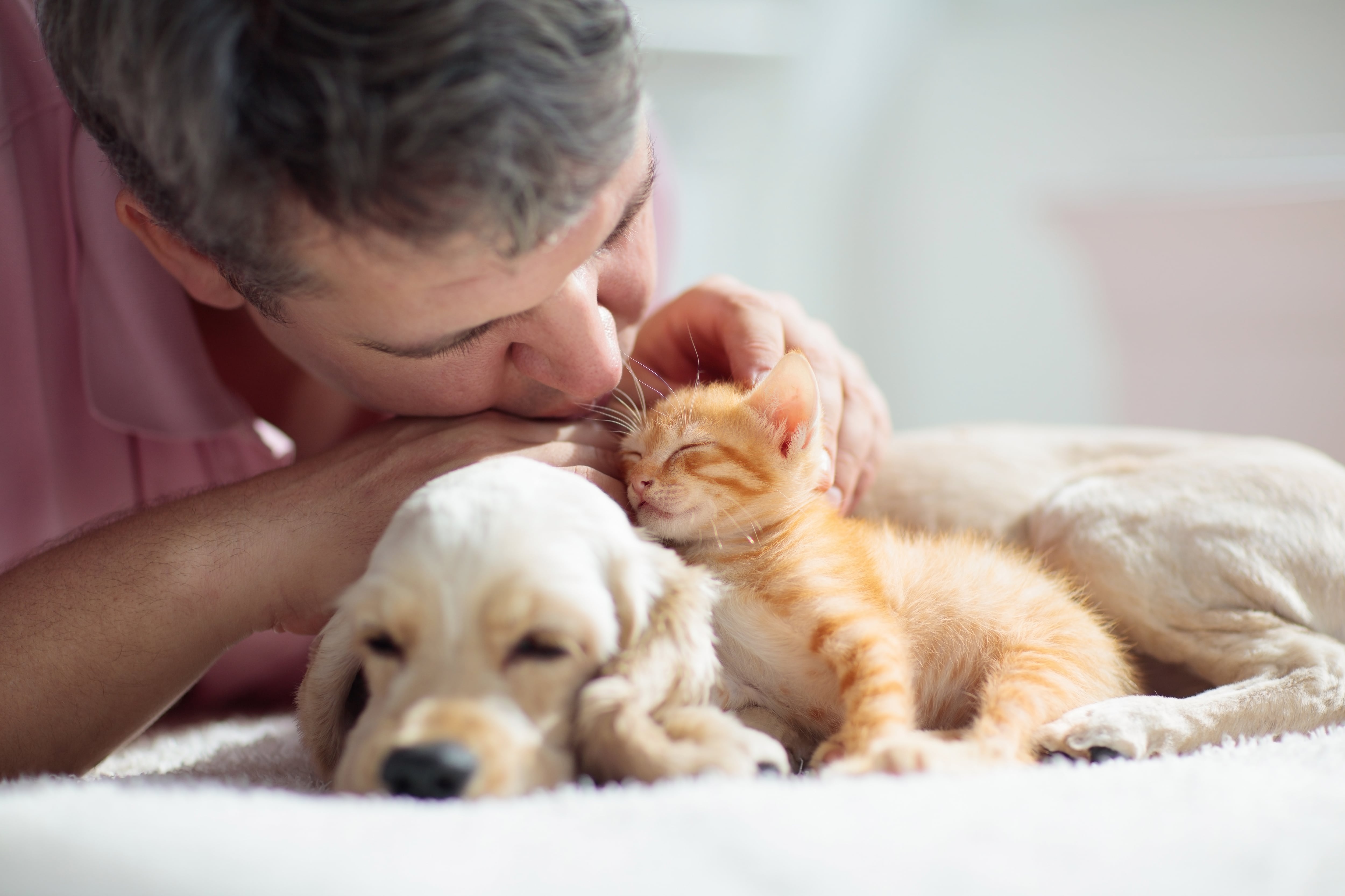 Un hombre acaricia a un perro y un gato