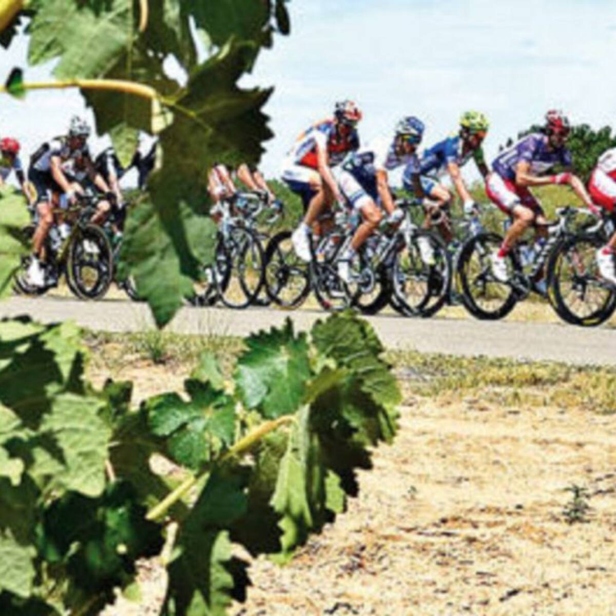 Un total de 147 kilómetros por la Ribera